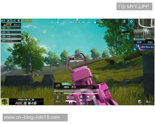 和平精英TES战队节奏分析与战术探讨全方位解读